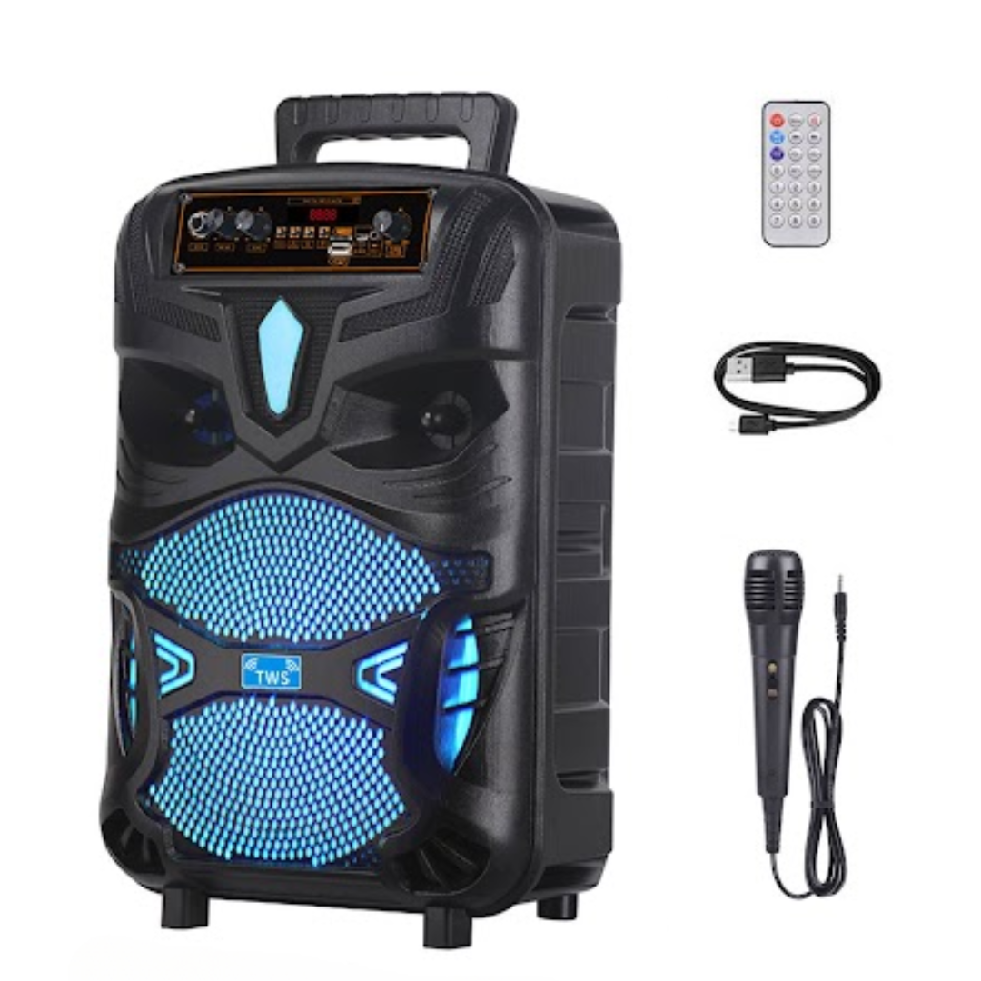 BOCINA PARA KARAOKE NDR-P55