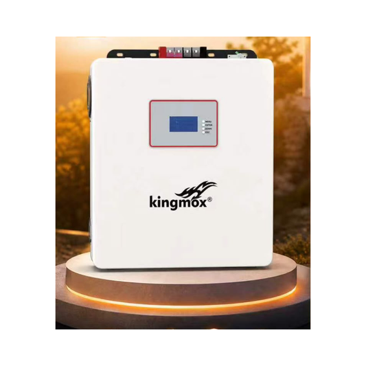 BATERÍA DE LITIO 100AH 5.12kWh