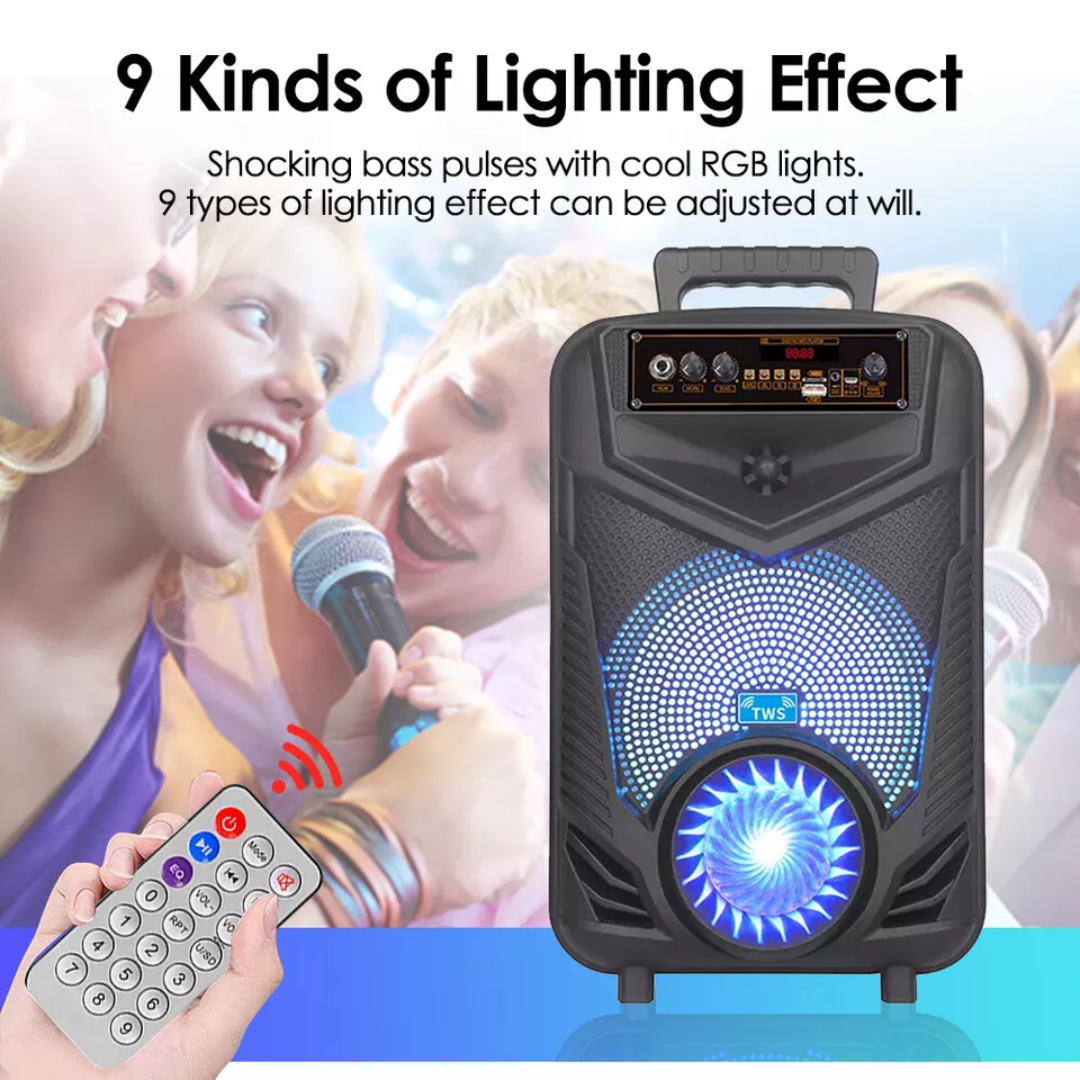 BOCINA PARA KARAOKE NDR-P44