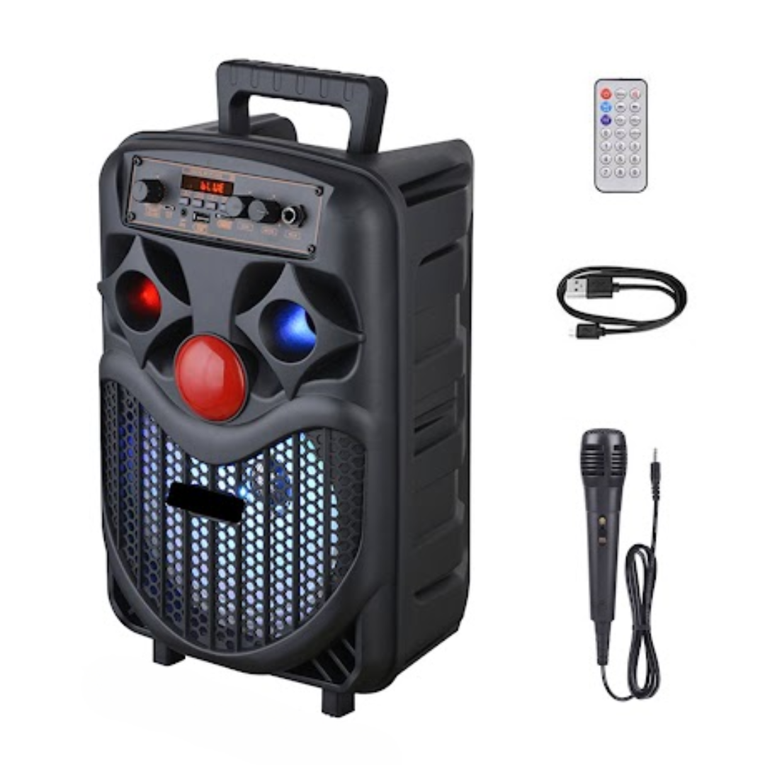 BOCINA PARA KARAOKE NDR-P66