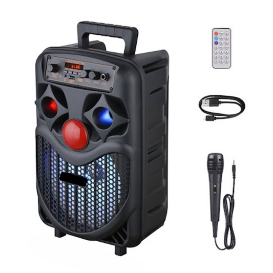 BOCINA PARA KARAOKE NDR-P66