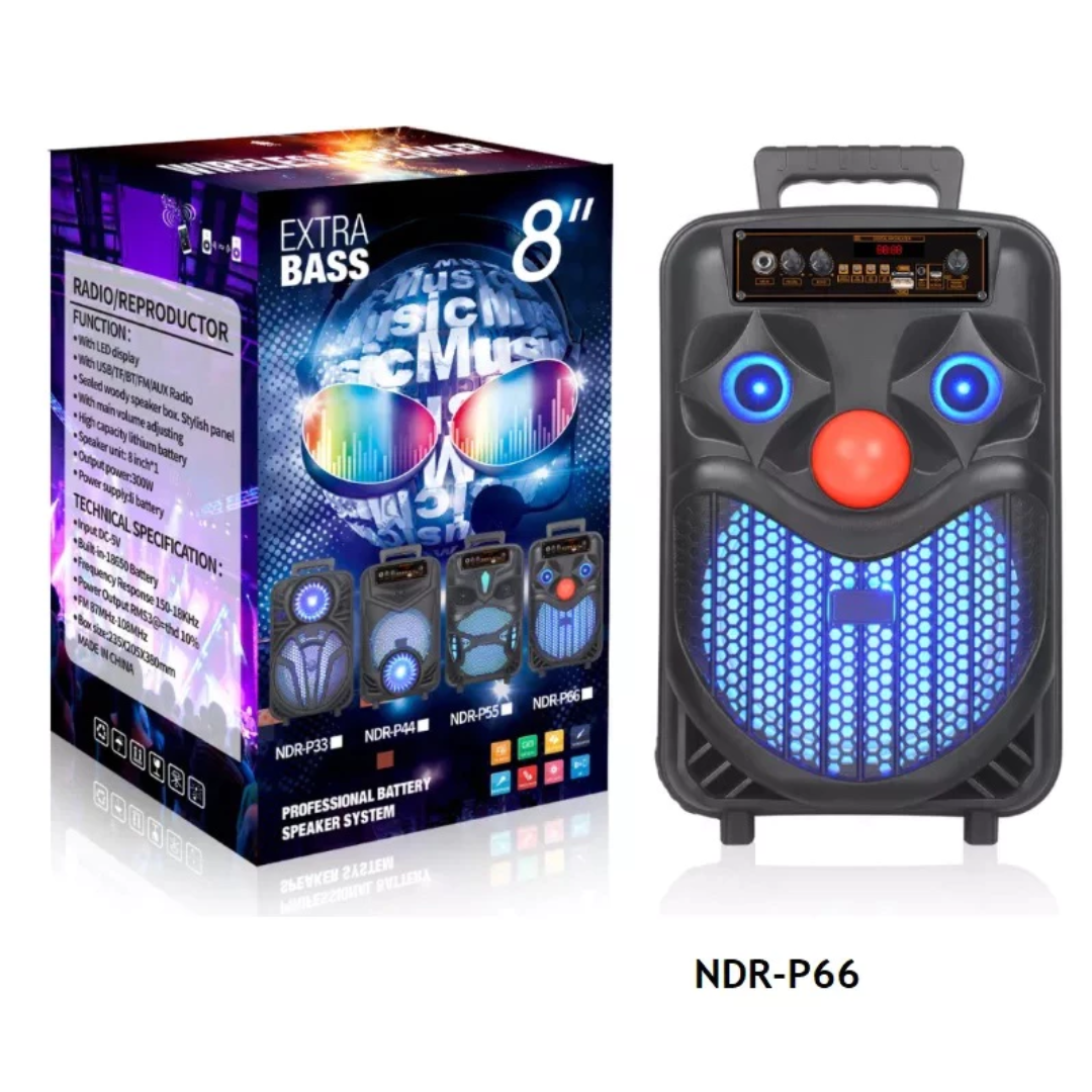 BOCINA PARA KARAOKE NDR-P66