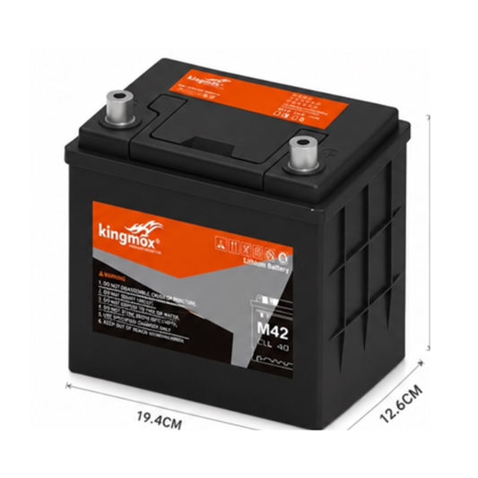 BATERIA PARA AUTOMOVIL M42
