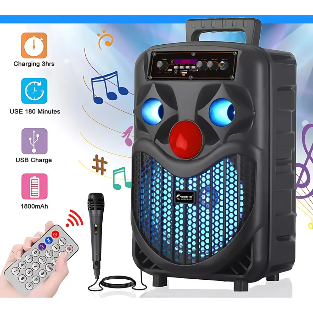 BOCINA PARA KARAOKE NDR-P66