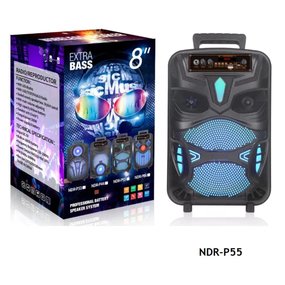 BOCINA PARA KARAOKE NDR-P55