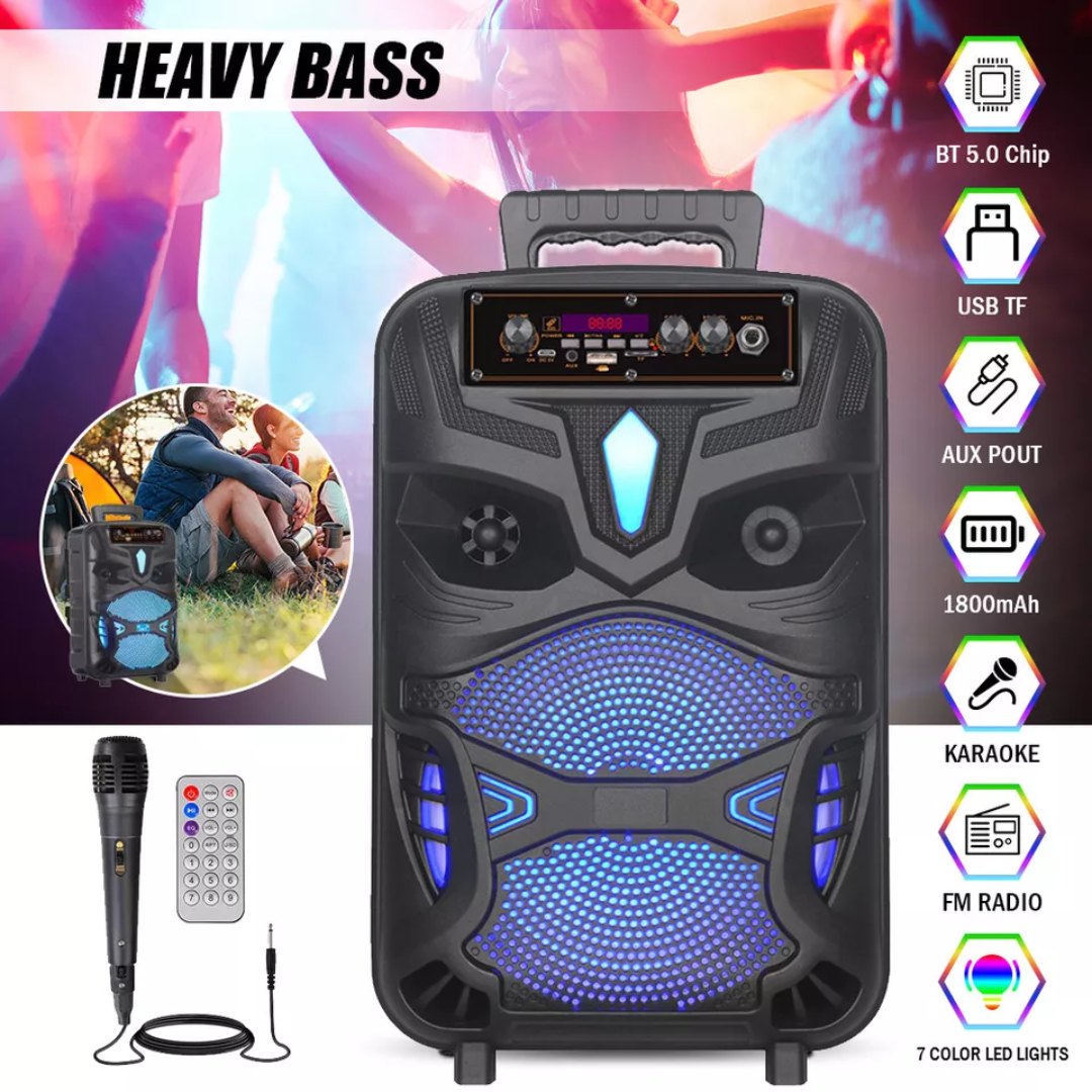 BOCINA PARA KARAOKE NDR-P55