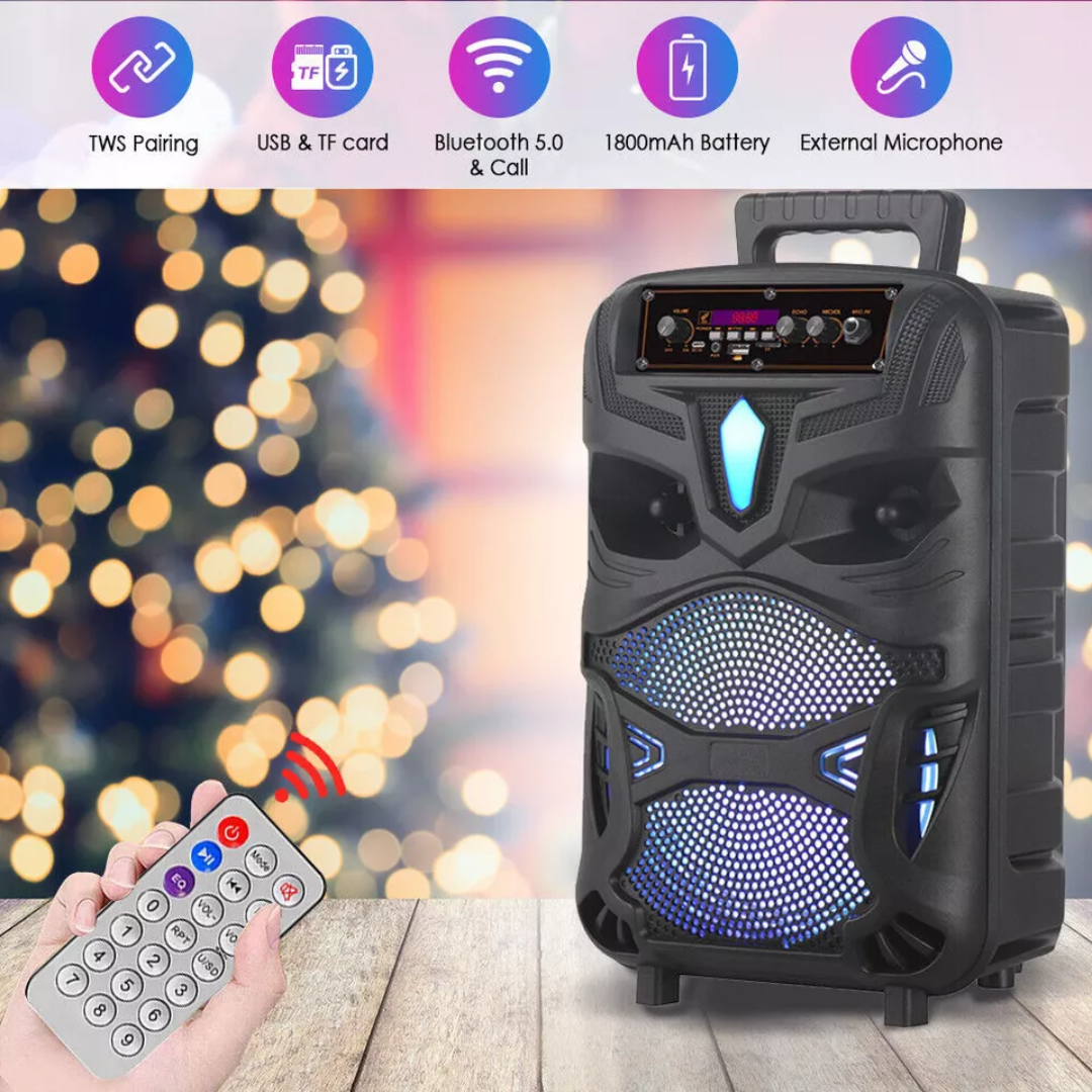 BOCINA PARA KARAOKE NDR-P55