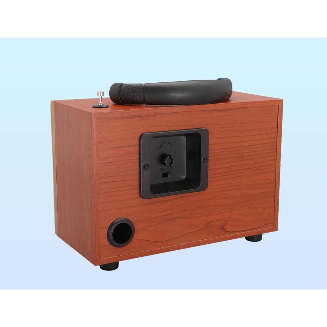 RADIO VINTAGE BS-R8065B