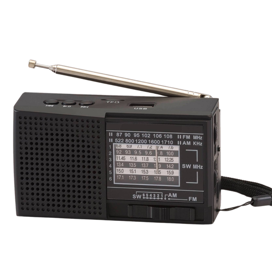 RADIO SOLAR NS-8103S