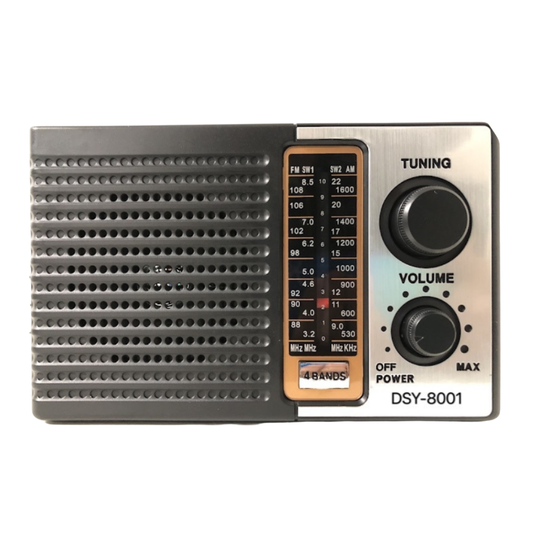 RADIO VINTAGE DSY-8001