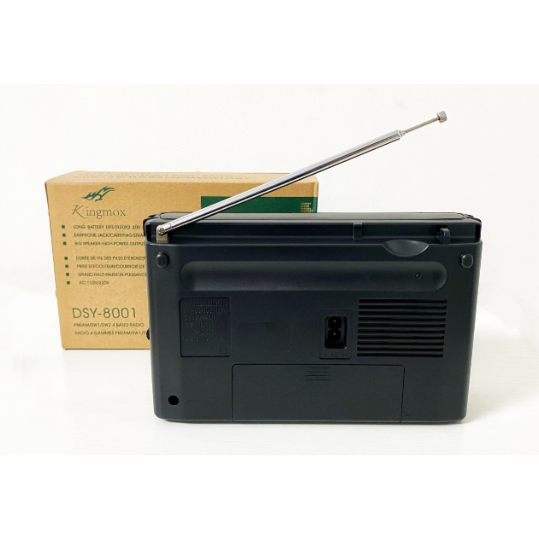 RADIO VINTAGE DSY-8001