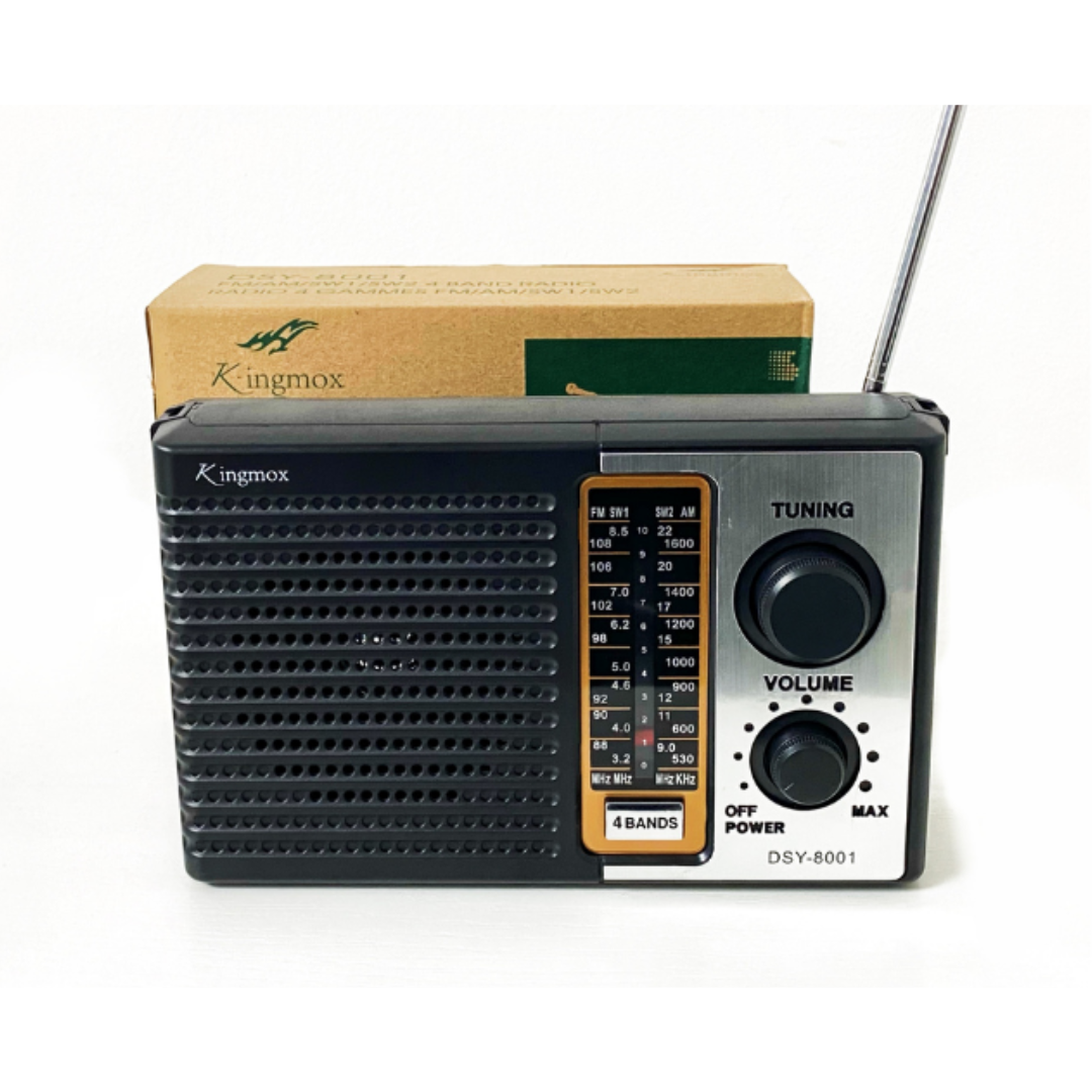 RADIO VINTAGE DSY-8001